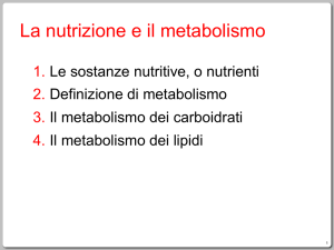 La nutrizione e il metabolismo
