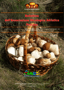 distribuzione gratuita - Associazione Micologica Adriatica