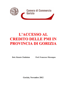 Studio sull`accesso al credito delle PMI in provincia di Gorizia