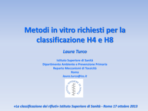 Relazione L. Turco [PDF - 1978.75 kbytes]