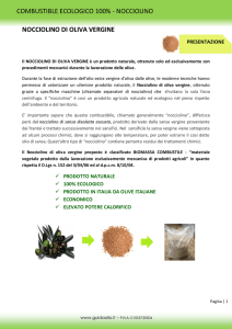 combustible ecologico 100% - nocciolino nocciolino di oliva vergine