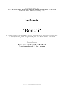 Bonsai - copioni