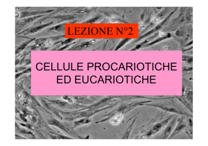 BIO-13 Lezione 2- 3 La cellula e Membrane biologiche