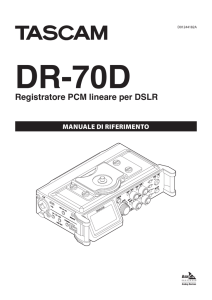 Registratore PCM lineare per DSLR