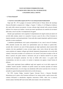 I NEURONI SPECCHIO (NS) - Filosofia e nuovi sentieri