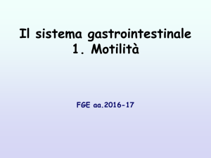 18_Gastrointestinale