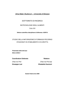 Alma Mater Studiorum – Università di Bologna DOTTORATO DI
