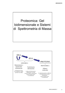 Proteomica: Gel bidimensionale e Sistemi di Spettrometria di Massa