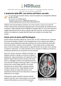 L`anatomia della MH: una storia sull`intero cervello