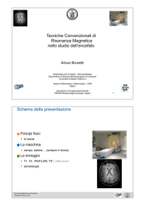 Tecniche Convenzionali di Risonanza Magnetica nello studio dell