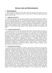 Alcune note sull`alimentazione 1 Alimentazione