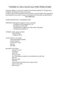 Operatore vedere il DNA