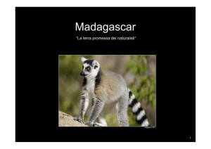 Madagascar - Nikon Club