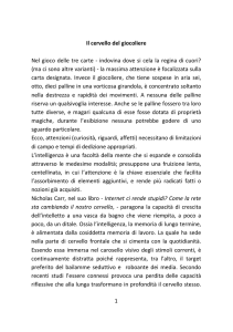 il cervello del giocoliere