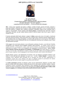 Comunicato Stampa - Dott. Andrea Bianchi