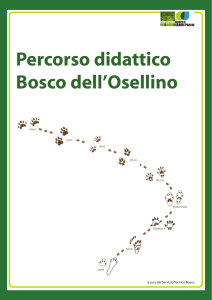 Percorso didattico Bosco dell`Osellino