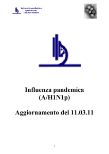 influenza_da_virus_di_origine_messicana 11 03 11