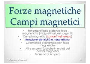 15 forze e campi magnetici