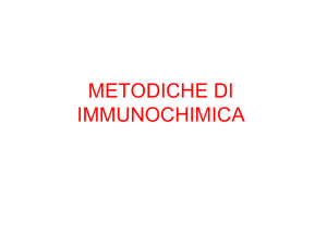 Immunoistochimica