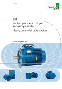 S11 Motori per vie a rulli per servizio pesante Heavy duty roller table