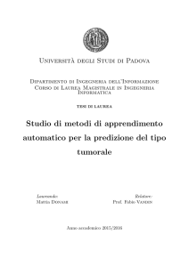 Studio di metodi di apprendimento automatico per la predizione del