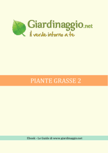 Piante Grasse 2 - Giardinaggio.net