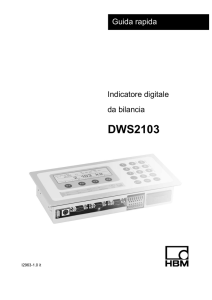 DWS2103