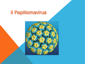 Il Papillomavirus.