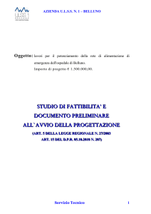 STUDIO DI FATTIBILITA` E DOCUMENTO PRELIMINARE ALL