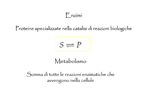 Enzimi Metabolismo