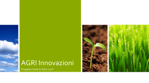 AGRI Innovazioni - paulownia social project