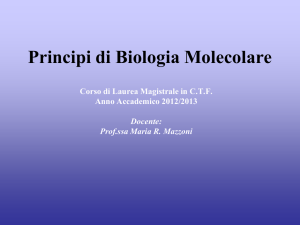 Modulo di Biologia Molecolare