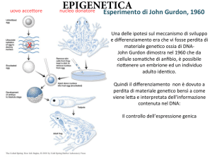 modificazioni a carico degli istoni