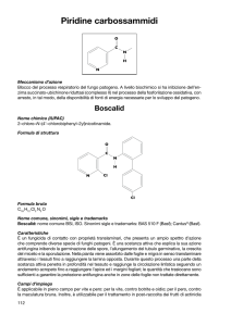 Piridine carbossammidi - Prontuario Muccinelli