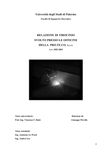 Università degli Studi di Palermo RELAZIONE DI TIROCINIO