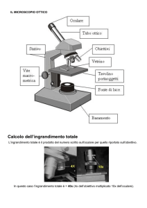 Calcolo dell`ingrandimento totale