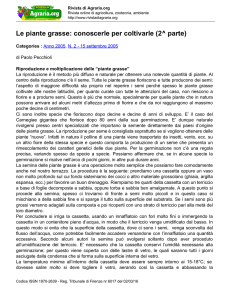 Le piante grasse: conoscerle per coltivarle (2^ parte)