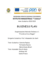 BUSINESS PLAN - Istituto Magistrale Gullì