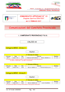 Comunicato n. 13 del 11 febbraio 2017