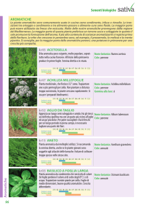 Erbe aromatiche - Agribionotizie