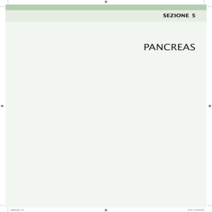 pancreas - Doctor33