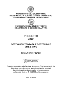 Progetto GISVI - Università degli Studi di Udine
