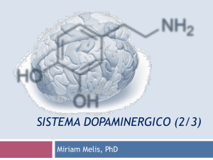 4. Sistema Dopaminergico