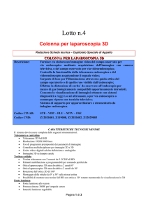 Colonna per laparoscopia 3D-CSA