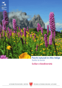 Sciliar e biodiversita - Autonome Provinz Bozen