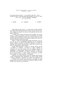 Acta n.3-1957 articolo 10
