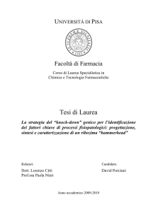 Tesi di Laurea