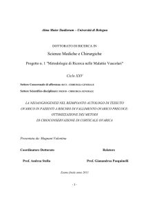 Scienze Mediche e Chirurgiche