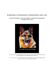 studio della cinognostica e zoognostica del cane