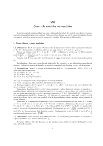 VIII Cenni alle metriche non–euclidee